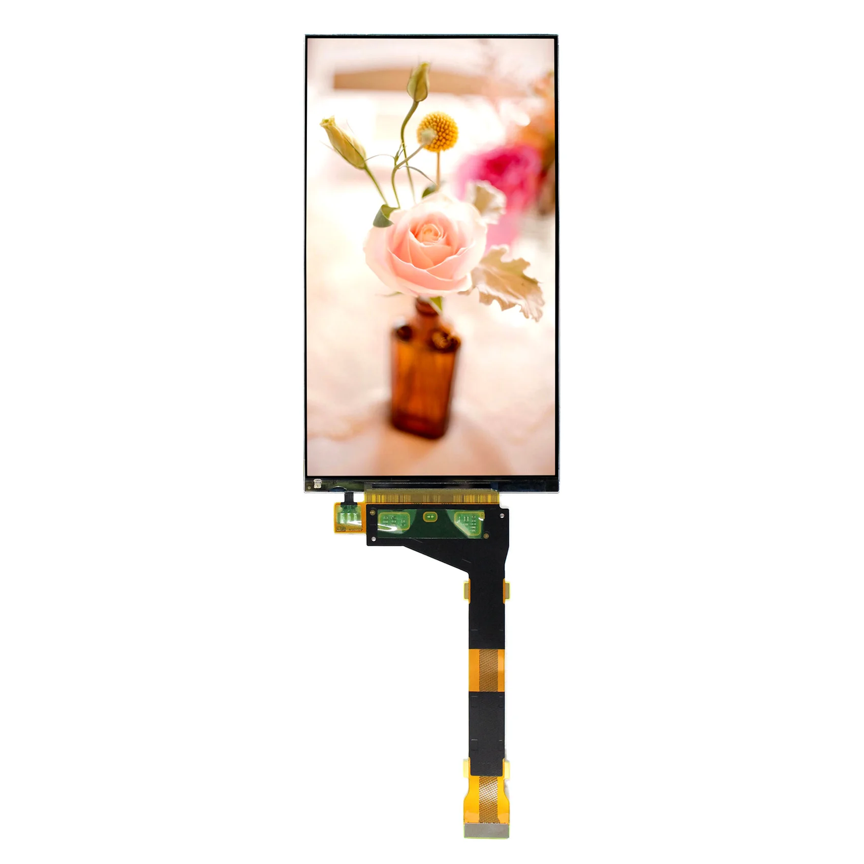 Wled Backlight Screen Display Lcd 5.5