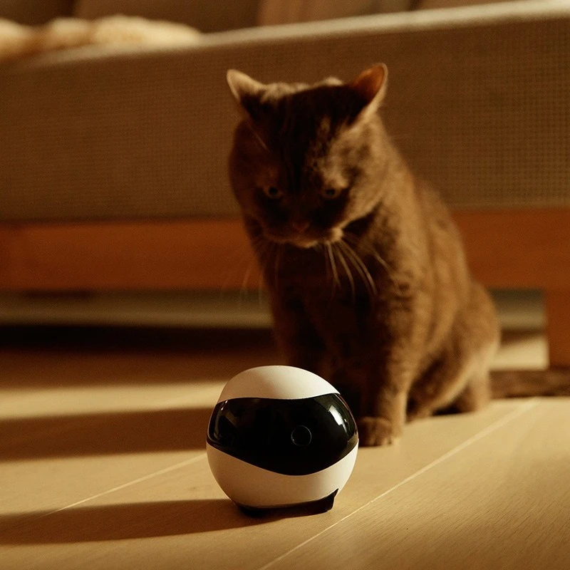 Robot smart pet surveillance camera family accompany cat electric mobile to tease cats