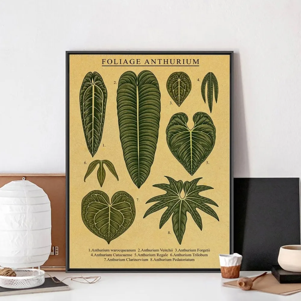 Botanical printing Flowers Herbs botanical illustrations Poster Kraft Paper Vintage Poster Wall Painting Bedroom Study Stickers