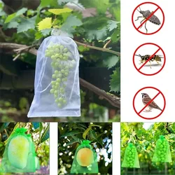 50/100pcs Grape Protection Bag Grow Bag Mesh Fruit Pest Control Products Breathable Gauze Strawberry Seedling Bags Organza