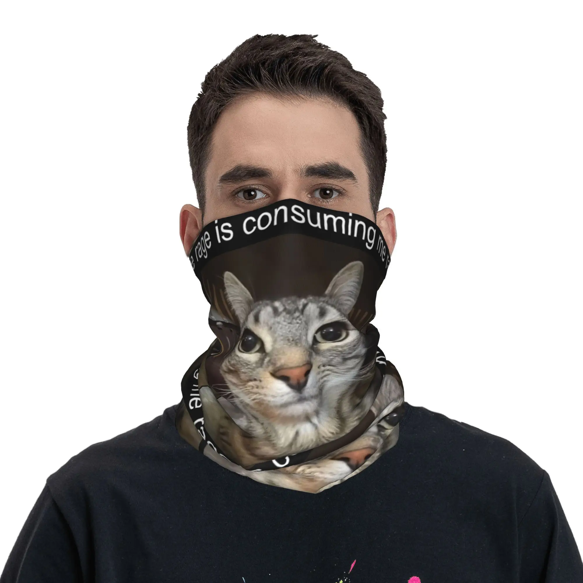 Cat Looking Directly At You Bandana Neck Cover Printed  Face Scarf Multifunctional Face Mask Fishing for Men Women All Season