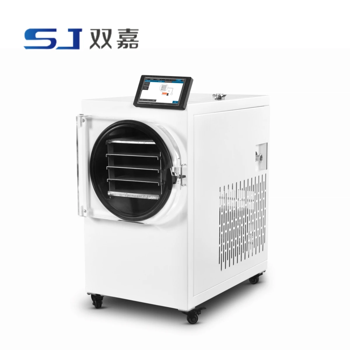 Home Freeze Dryer 10-15lbs Food Vacuum Lyophilizer Meat Freeze Drying Equipment For FruitVegetable