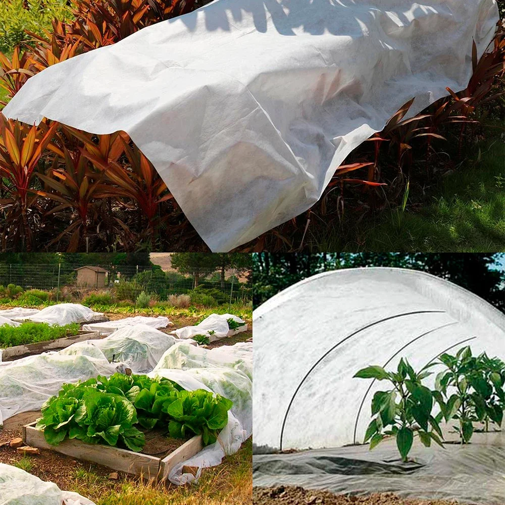 Plant Protective Cover Agriculture Gardening Pest Control Freeze Net Fruit Tree Protection Net Garden Flowers Pest Control Net