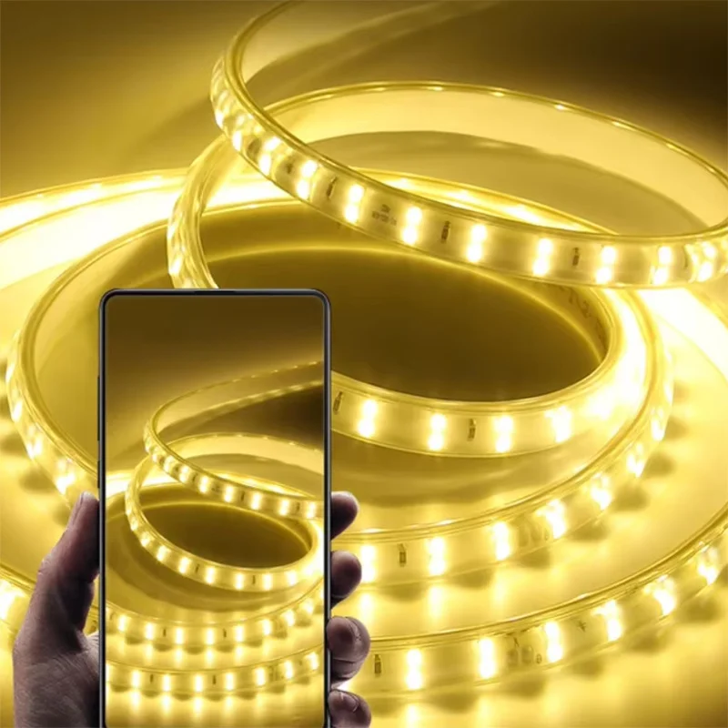 220V Led Strip 1-30m With Eu Plug 2835 Flexible Ribbon Light Waterproof Led Tape for Home Kitchen Outdoor Garden Decor Lighting