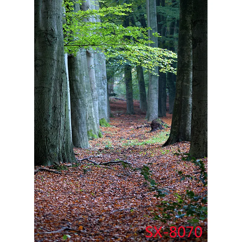 ZHISUXI Natural Scenery Photography Background Lawn Forest Landscape Travel Photo Backdrops Studio Props  YXFL-40