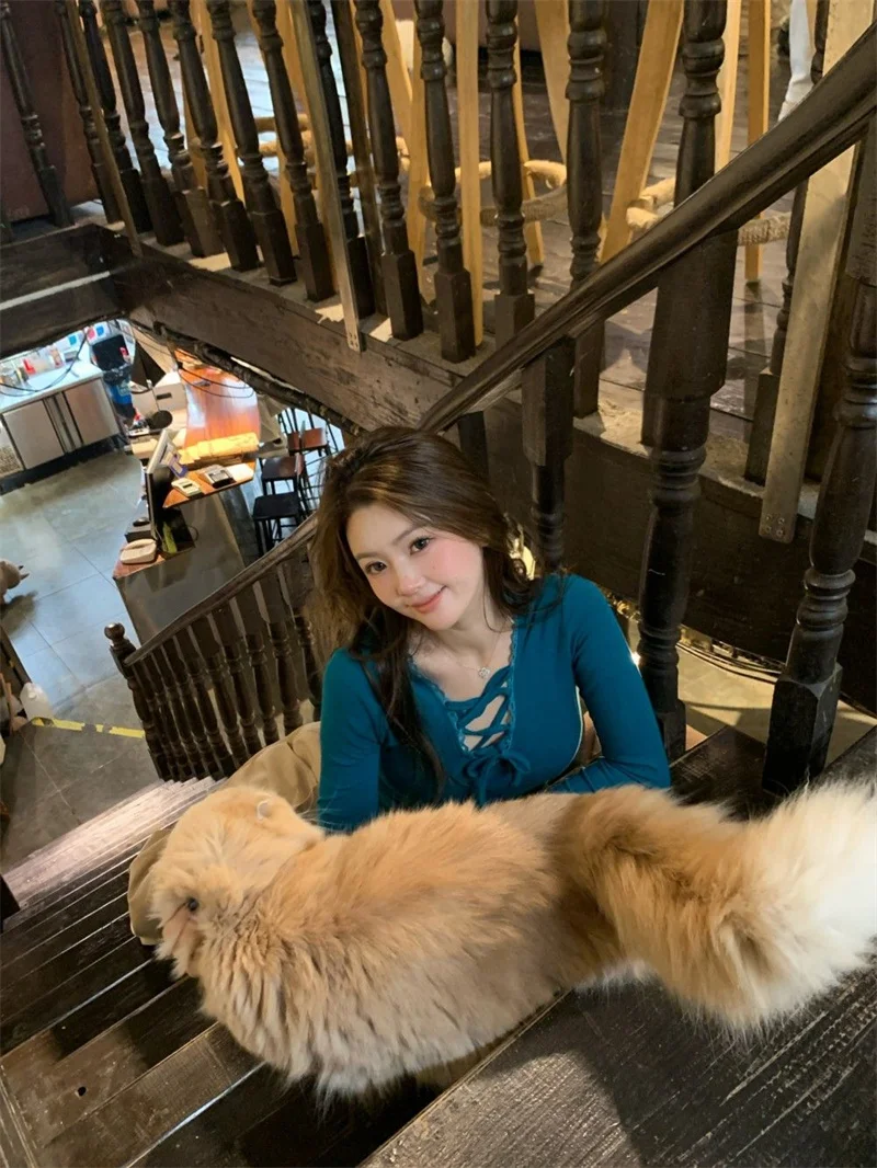 

Футболка с длинными рукавами, сексуальная женская осенняя вышитая лоскутная рубашка с круглым вырезом, женская изящная нежная женская изящная классическая уличная одежда