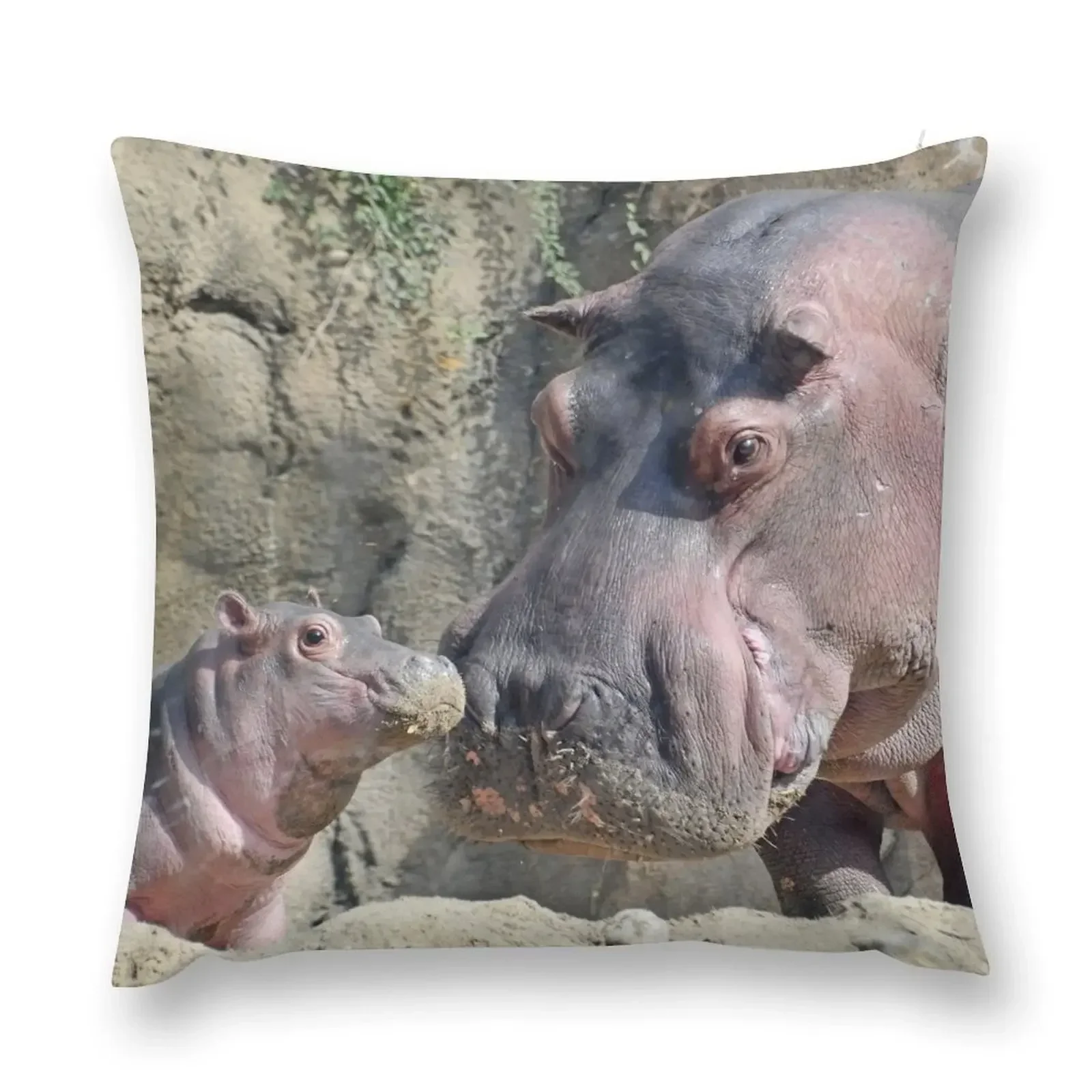 Fritz and Tucker the Hippos at the Cincinnati Zoo Throw Pillow luxury home accessories Elastic Cover For Sofa pillow