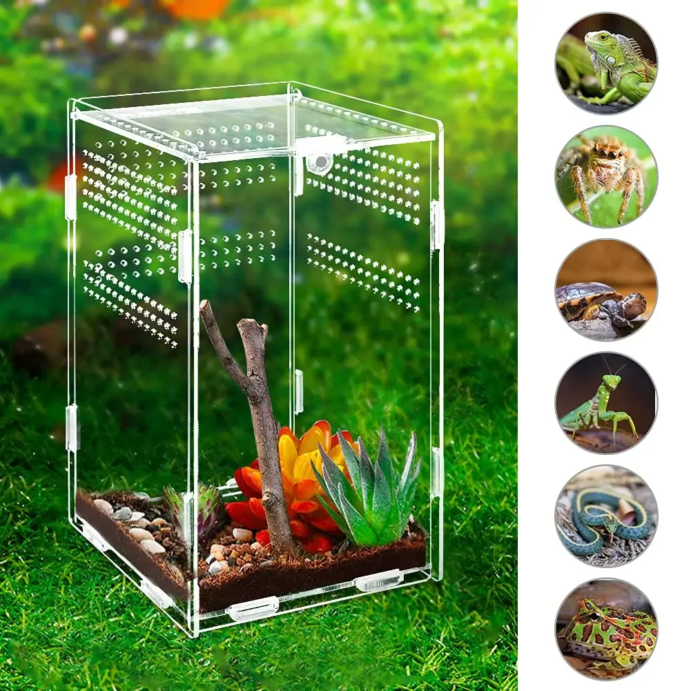 Magnetic Acrylic Case Nano Arboreal Tarantula Enclosure Reptile Habitat Terrarium Breeding Box for Spider Scorpion Sling Isopods