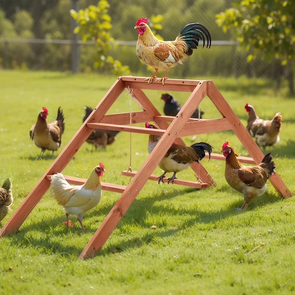

Chicken Roosting Bars Chicken Perches Activity Play with Swing Set Wooden Chicken Ladder Easy to Clean for Coop Accessories