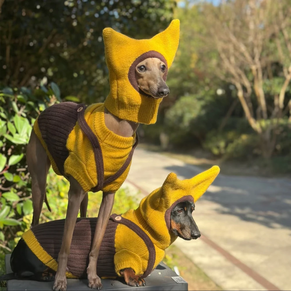 Jersey con gorro de lana para perros Dachshund y galgo italiano - imagen 5