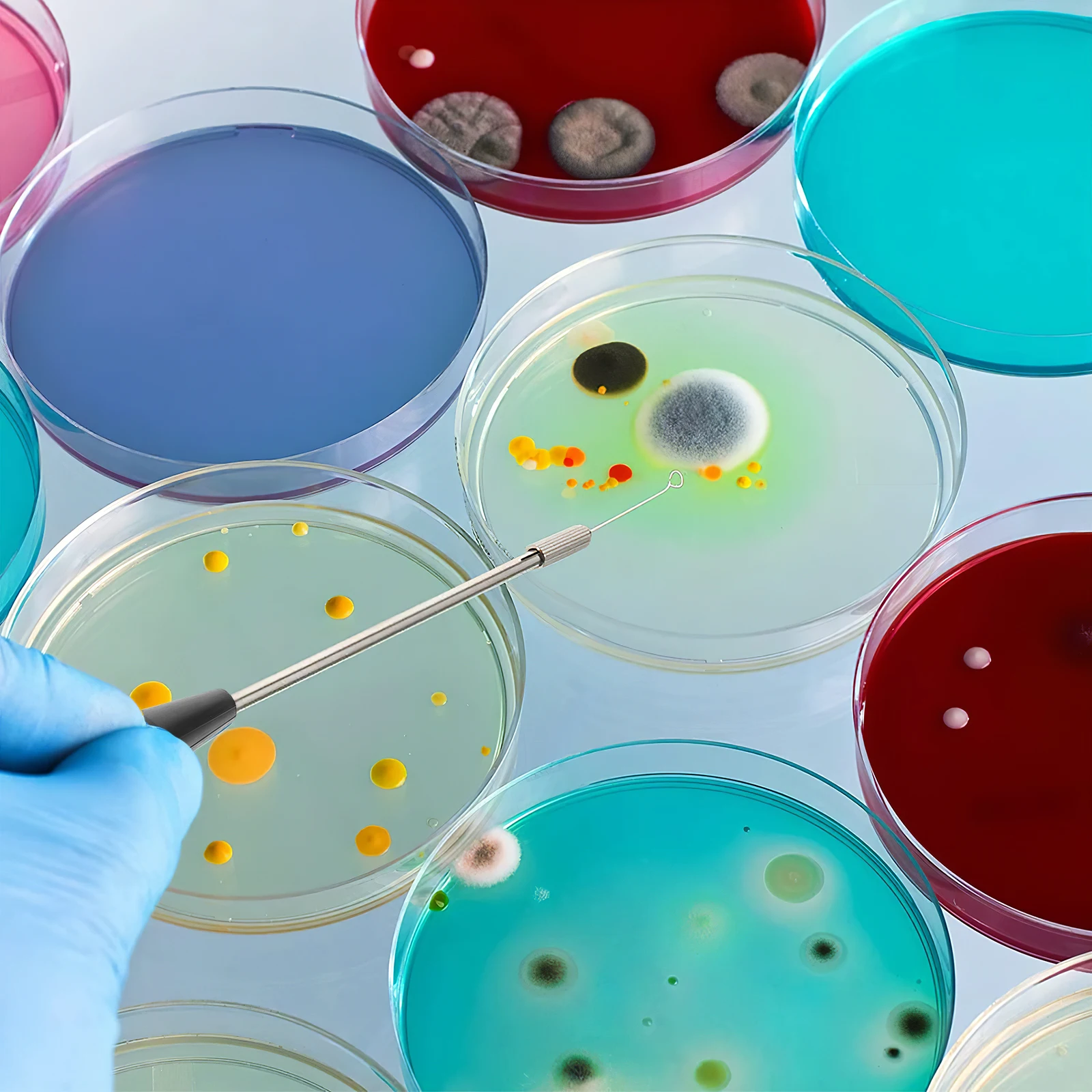 

92Pcs Copper Microbiology Inoculating Rods Kit Reusable Inoculating Rings Laboratory Supply Teaching Equipment