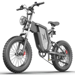 EKX X21 Adults Electric Bike 2000W 48V35AH High Capacity Battery Electric Motorcycles 20 Inch Off-Road Tyre Mountain Ebike X20