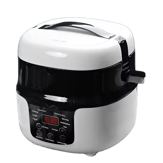 

12V 24V universal fully automatic household plastic new energy vehicle car mounted rice cooker