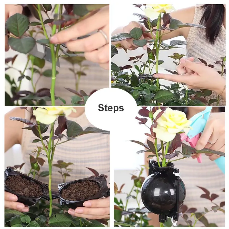 5cm 8cm 12cm Transparent Propagation Tree Plant Rooting Ball Root Grow Box Nursery Pots Graft Breeding Branch Case K5