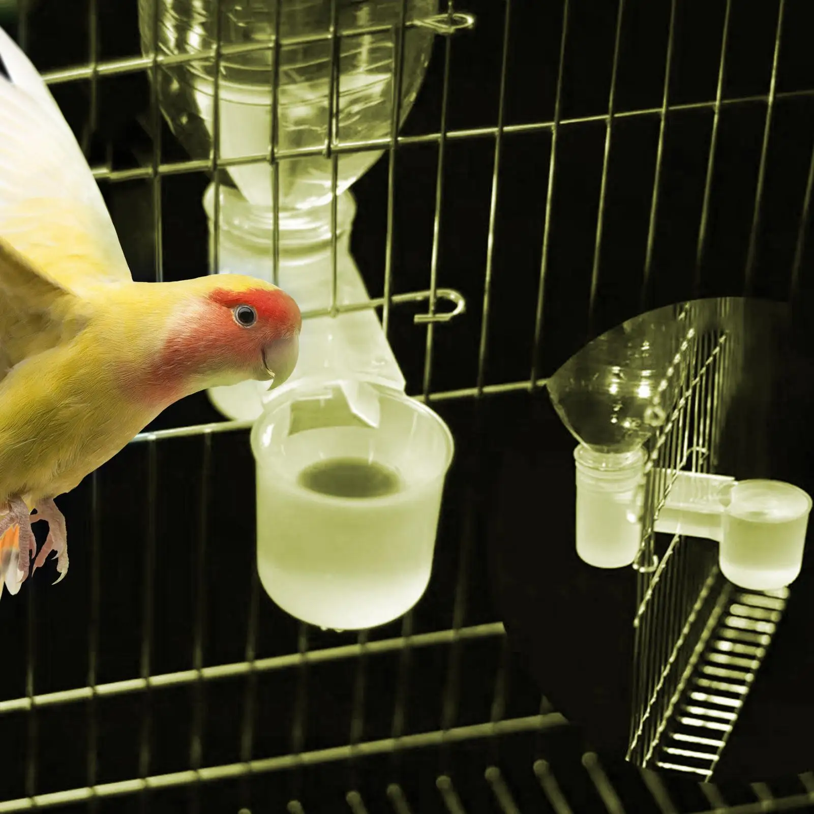 Double-Port Water Bottle Cup Plastic Pet Bird Drinker Feeder For Chicken Pigeon Home Bird Cage Accessories feeding Tools