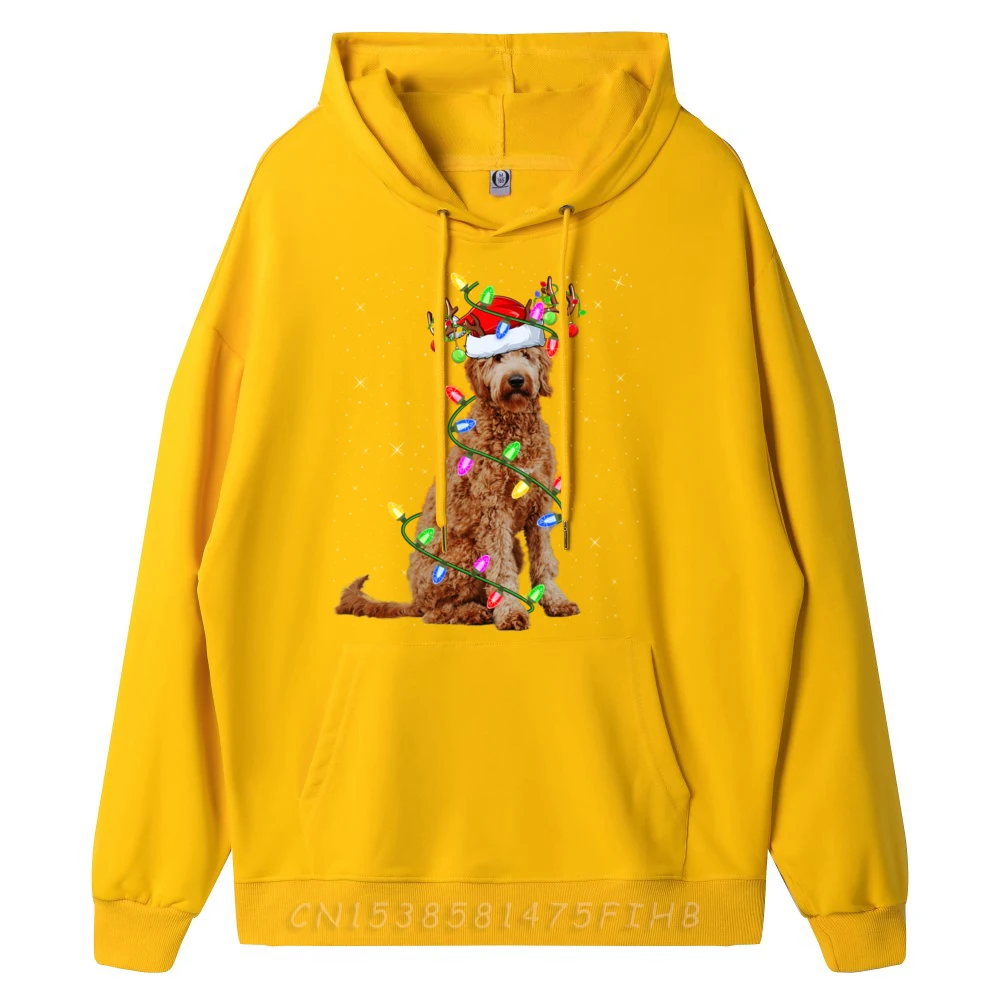 Xmas Holiday Lighting Santa Goldendoodle Dog Christmas Street Wear Hoodie Hoodie Man Cinco De Mayo
