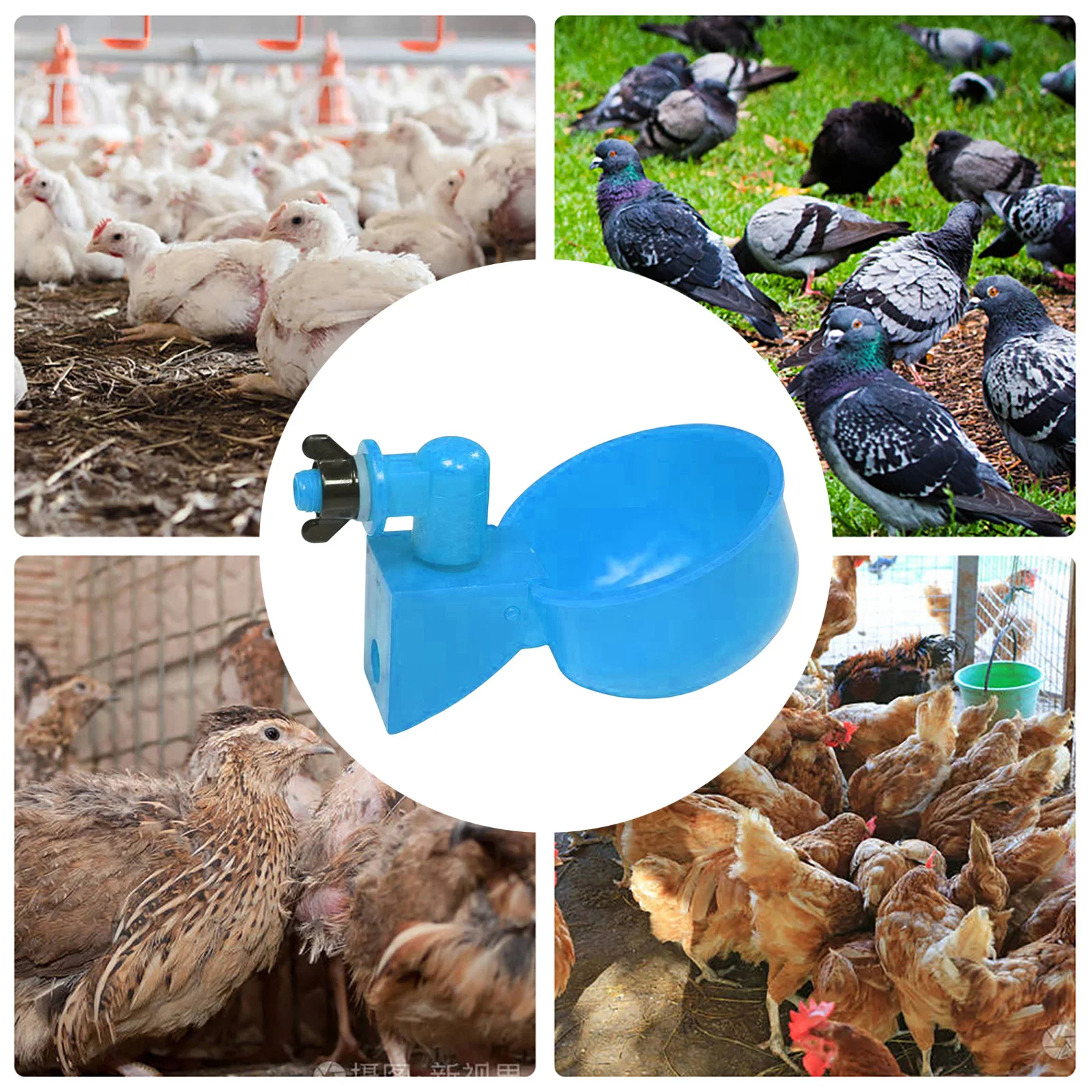 6 pçs frango pato beber tigela pendurado dispensador de água automático frango plástico prático conveniente para alimentação animal da fazenda