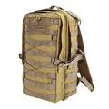 Coyote Brown