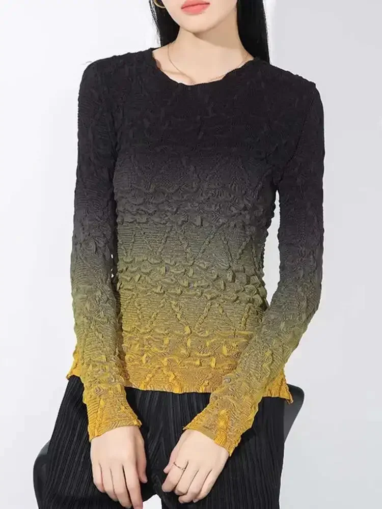 

ALSEY Women's Round Neck Long Sleeve Slim Thin Style Top 2025 Summer New Miyake Design Sense Fashion Casual Gradient Pleated