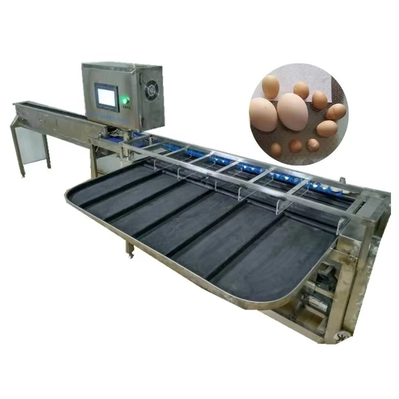 Customized Large Capacity Grading Machine for Chicken Eggs / Eggs Grading Machine for Sale / Egg Sorting Machine Price