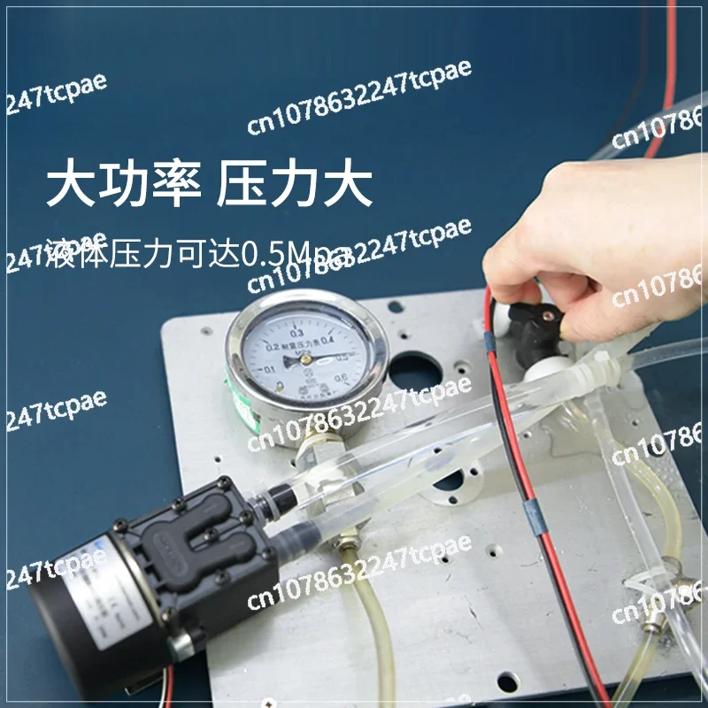 Diaphragm pump Motor Micro pump Water pump Suction  Circulation pumpHigh pressure Large flow self-priming  Pressure