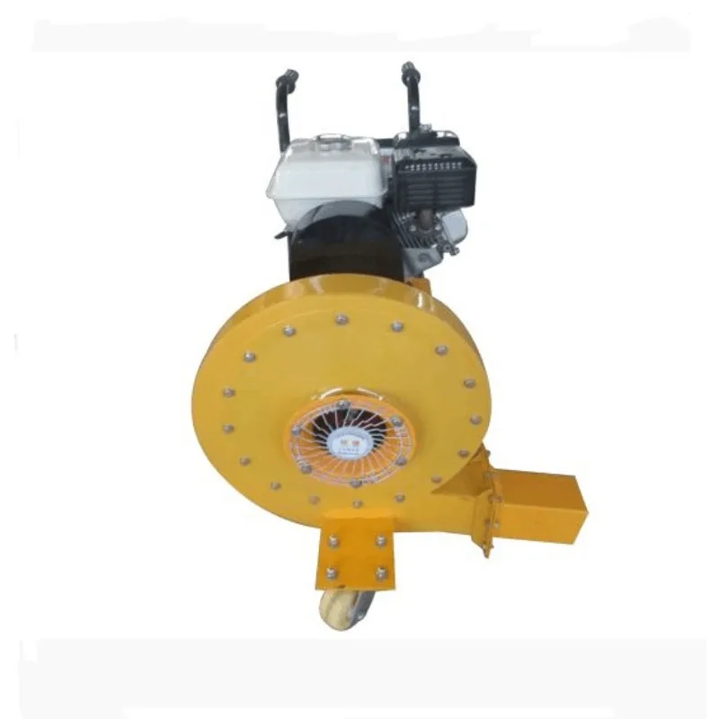 Large air volume road hair dryer, hand-pushed hair dryer