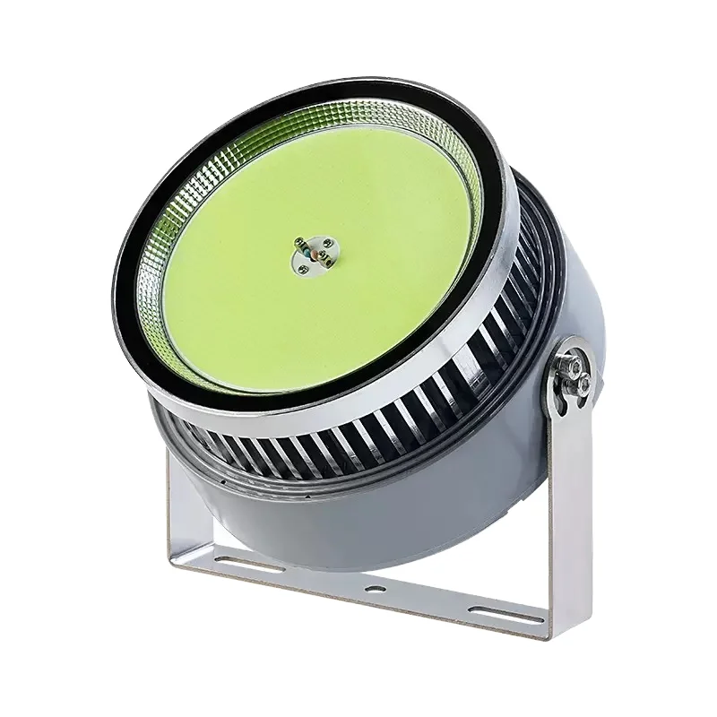 IP66 Aluminium Alloy 1000W LED Fishing Lights Boat Green Squid Luring 6000K Daylight 300m Lighting Distance 2-Year