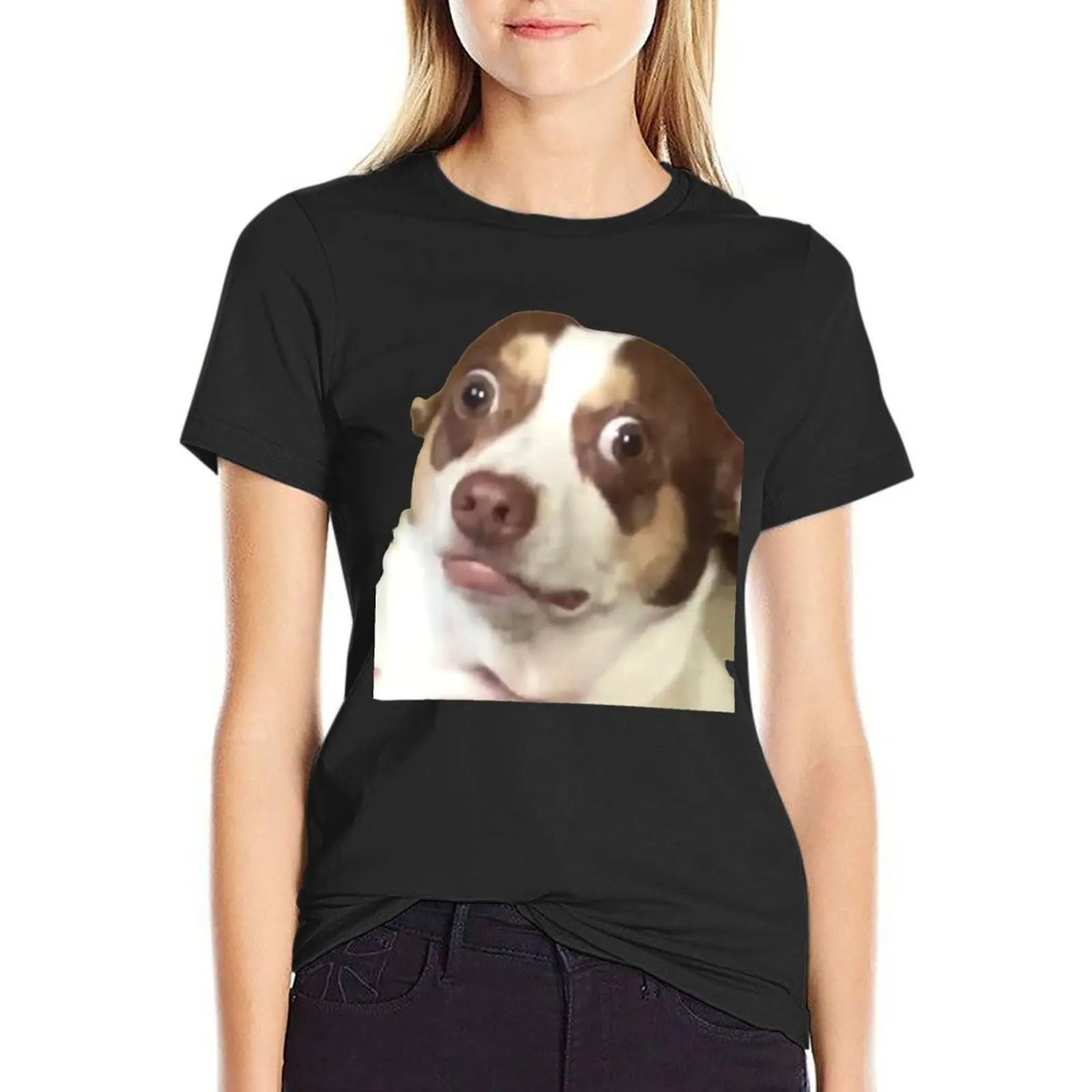 

Mr.Bubz Funny Dog Meme T-Shirt graphics summer clothes Short sleeve tee funny summer clothes for Women