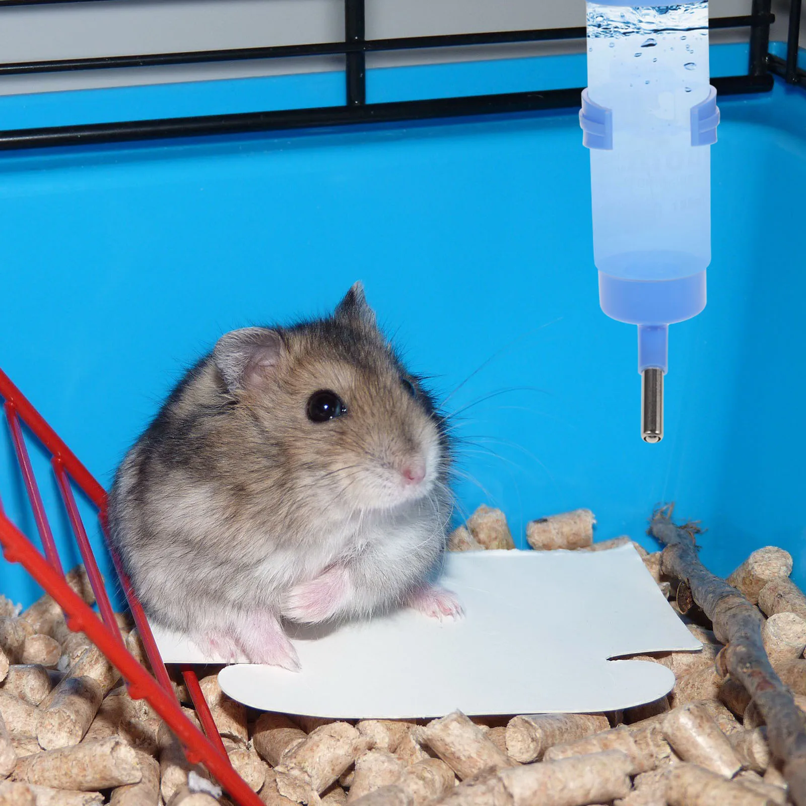 

Pet Drinking Water Bottle 125 Ml Rabbit Hamster Guinea Pig Leak Proof Soft Iron Wire Dispenser Monitoring Cleanliness Intake