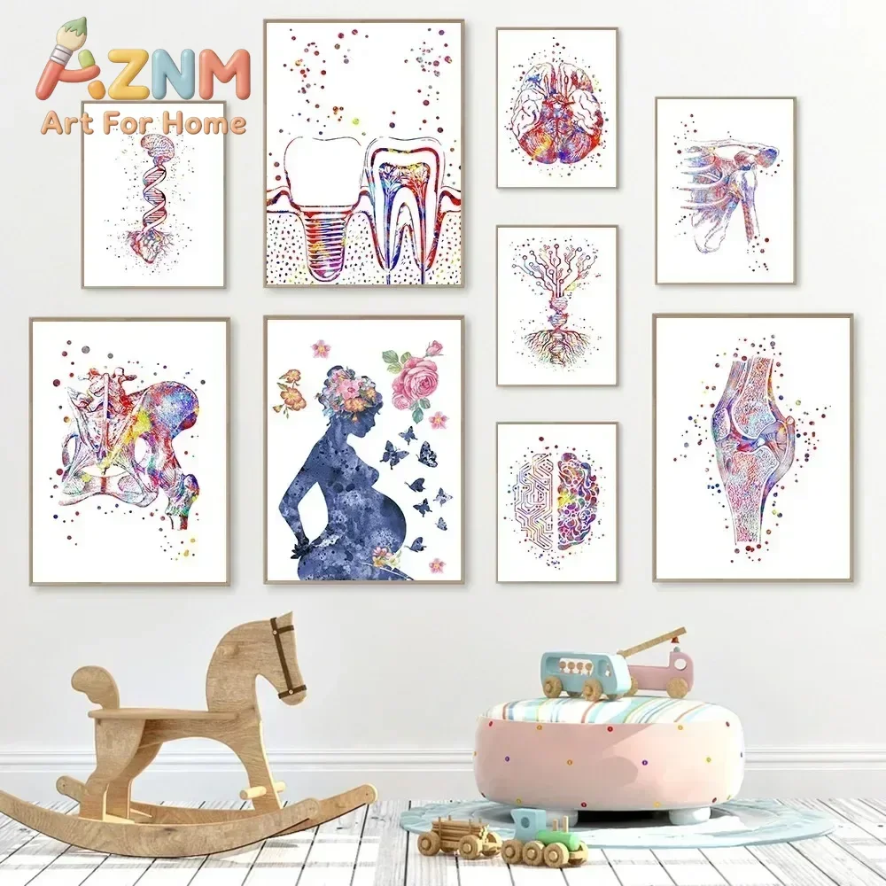 AZNM Watercolor Human Anatomy Canvas Wall Art Brain Tooth Joint DNA Medical Science Colorful Art Print Unframed Canvas Poster fo