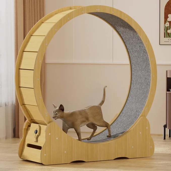 

Cat treadmill silent roller cat cat solid wood sports running wheel pet fitness climbing frame wheel toy
