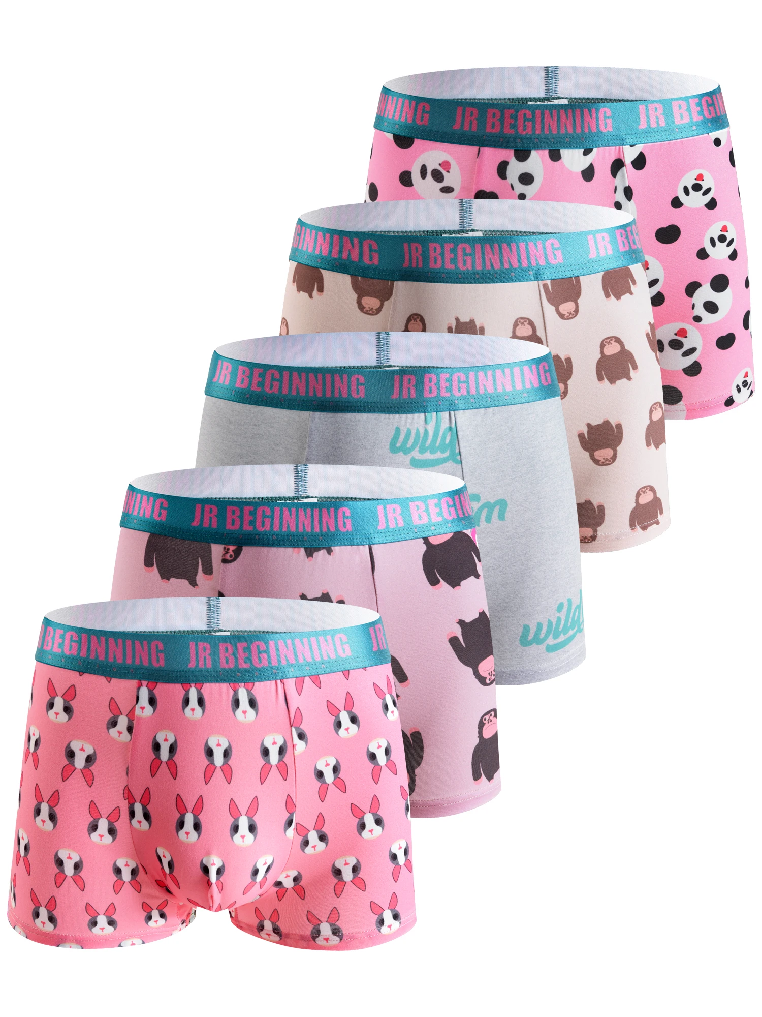 

5pcs high-end popular flat angle underwear thin men's style