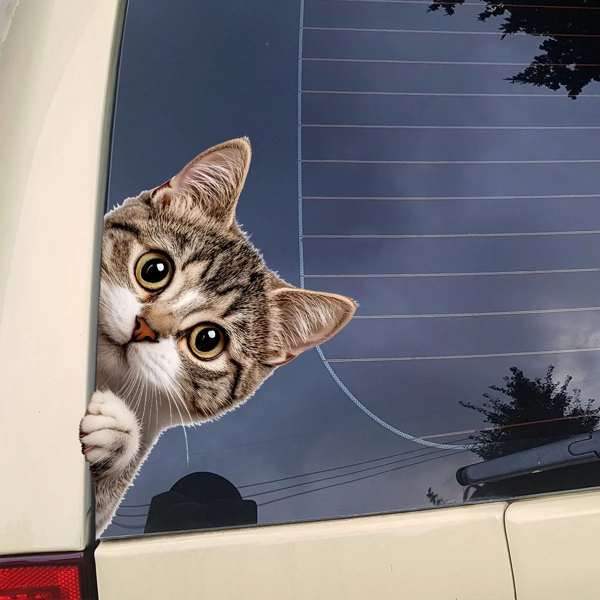 Funny Cat Peeking Window Wall Sticker Bathroom Toilet Decor Living Room Cabinet Refrigerator Home Decoration Decal Stickers - view 6