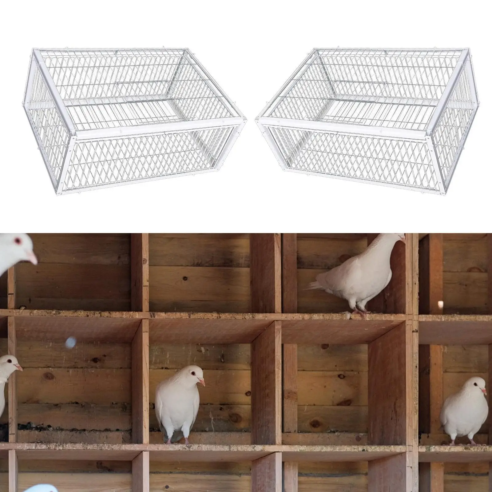 Bird Cage Easy Assembly Humane Portable Escapeproof Automatic Pigeon Collection for Chicken Pigeons Warehouses Garages Gardens