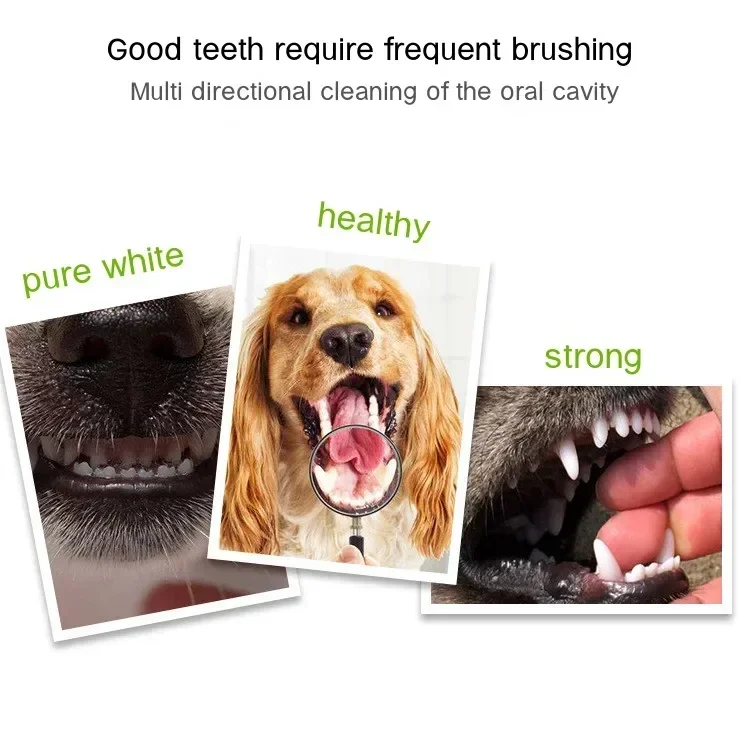 3-Sided Pet Toothbrush for Dogs & Cats – Tartar Remover — detail image 22
