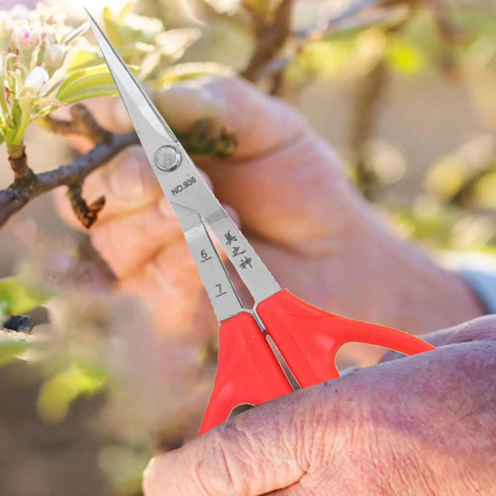 Grape Scissors Pruning Shears W/ Tweezers Garden Tool Vegetable Patch Bonsai Professional Joinery Stainless Steel Fruit Picking