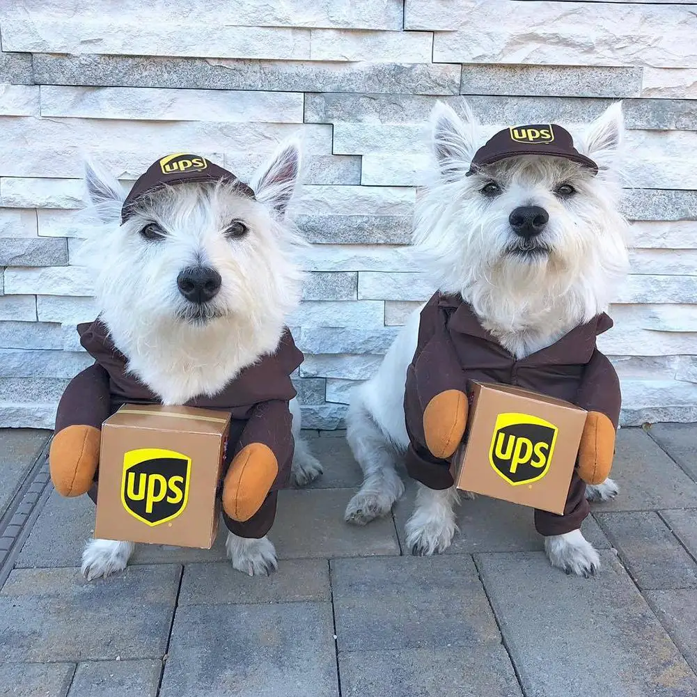 

Pet Halloween Ups Costumes Funny Dress Up Outfits Set With Hat Pet Supplies For Medium Large Dogs