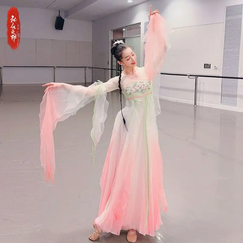 New Classical Dance Clothes Linger Same Style Chinese Classic Costume Fairy Gauze