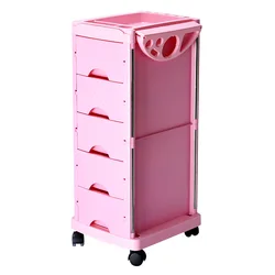 Professional Beauty Salon Furniture Auxiliary Cart Small Hairdressing Suitcase With Wheels Trolley Mini Rolling