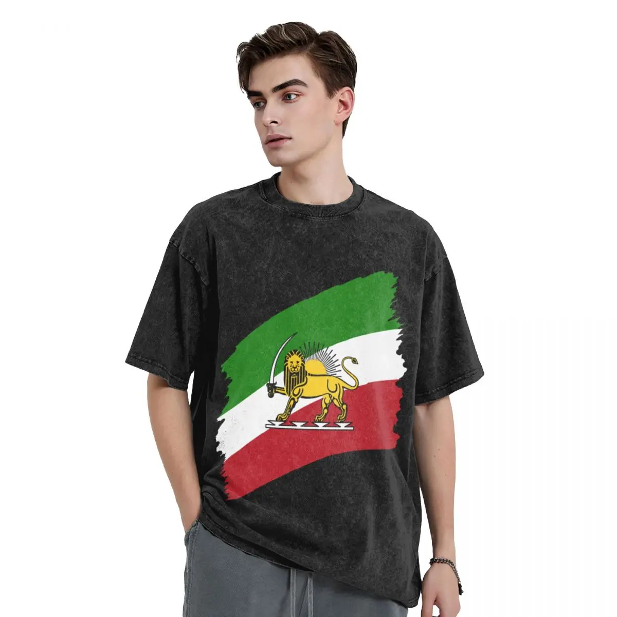 Iran flag with lion tshirt T-Shirt anime tshirt cute tops Short sleeve tee men