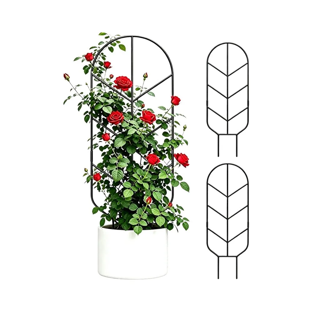 Sturdy 30'' Metal Plant Trellis: Modern Support For Climbing Plants Indoors For Climbing Flowers Vegetable Indoor Outdoor