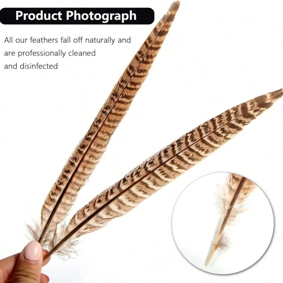 10-35cm 천연 꿩 꼬리 깃털 수컷 암컷 아름다운 깃털 DIY 머리 장식 보석 축제 장식 공예용