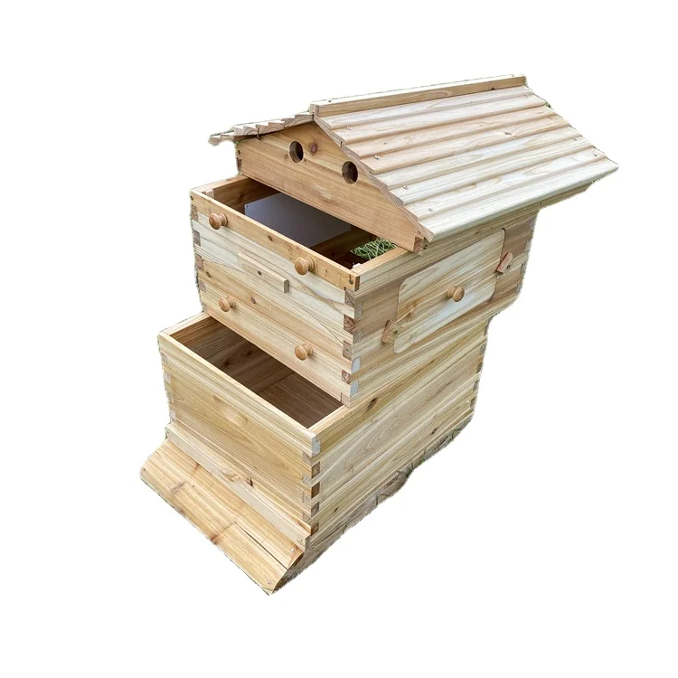 

Factory Supply Australian Auto Beehive Honey Bee Box for Sale Automatic Wood Bee Hive