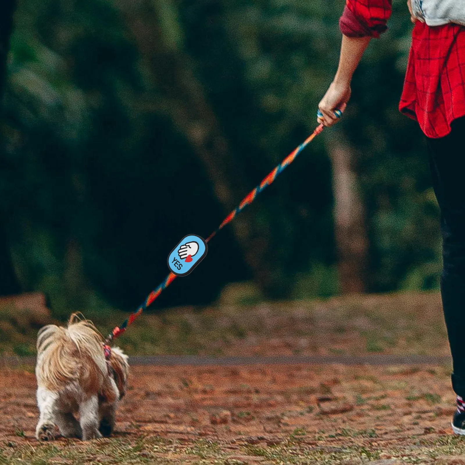 Pet Leash Patch Friendly Notice Sticker for Dogs Cats Outdoor Use Warning Label Social Interaction Dog Leash Identification