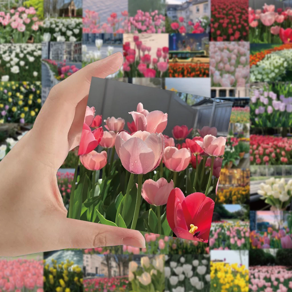 60PCS Vintage Oil Painting Tulip Daisy Flowers and Plants Stickers For Scrapbook  Laptop Notebook Helmet Decal