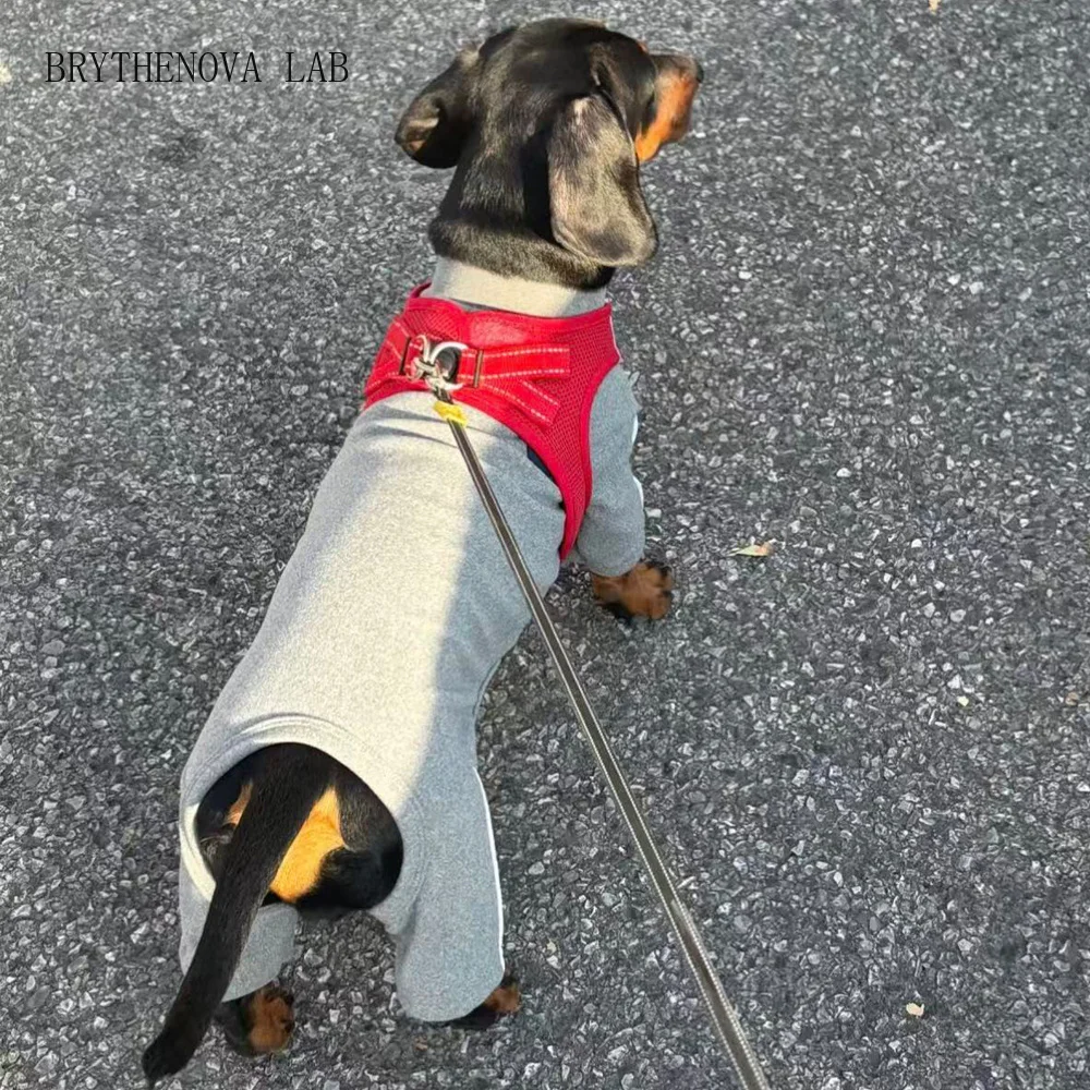 4-Legged Sweatshirt for Wiener Dogs Soft Reflective Clothing for Mid Small Sausage Dogs Grey Cotton Costume for Dachshund