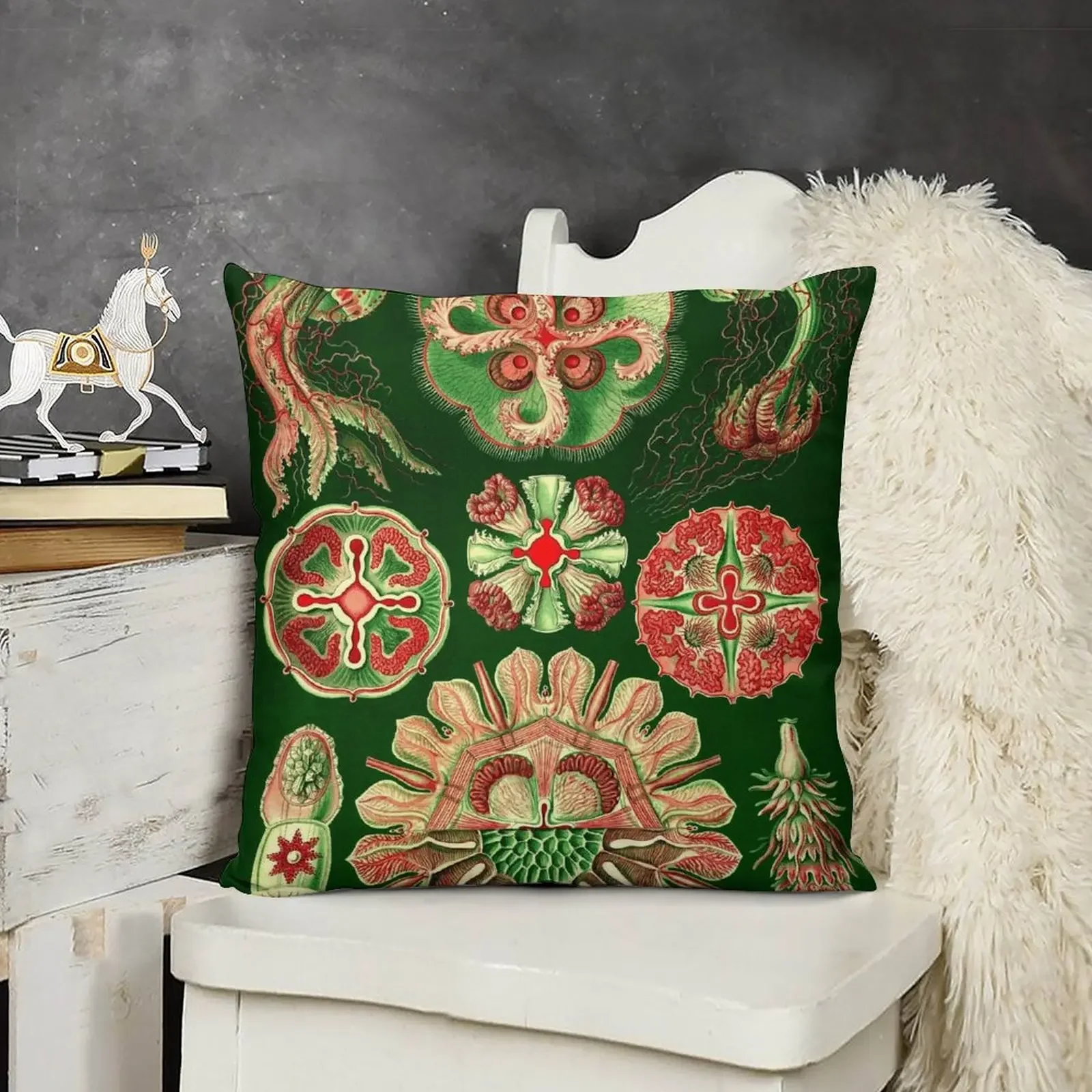 Plate 98. Discomedusae, a group of disc-shaped jellyfish. Throw Pillow Plaid Sofa Christmas Covers For Cushions pillow