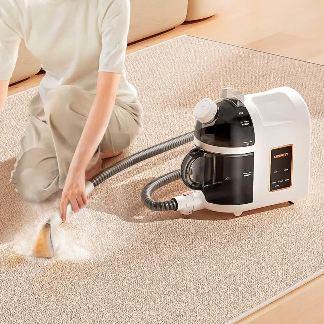 

Профессиональная портативная функция в одной машине для чистки ковров, диван, занавеска, салон автомобиля, матрас, вакуумный пароочиститель