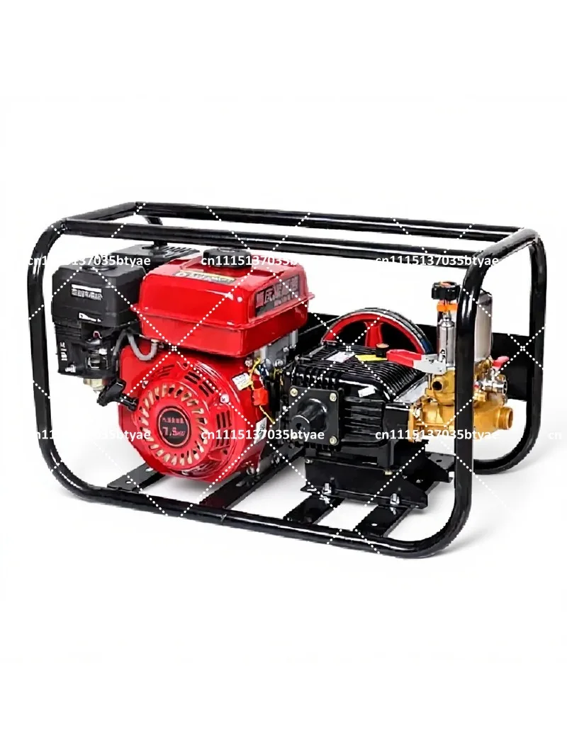 High Pressure Four Stroke Agricultural Plunger Pump Sprayer for Garden Fruit Trees Orchard