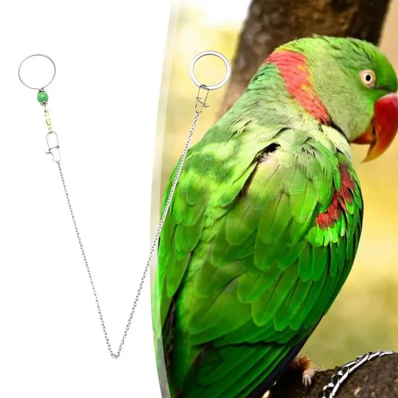 Parrot Neck Chain Stainless Parrot Training Neck Chain Safety Buckle Neck Collar Chain Prevent Parrot From Getting Lost